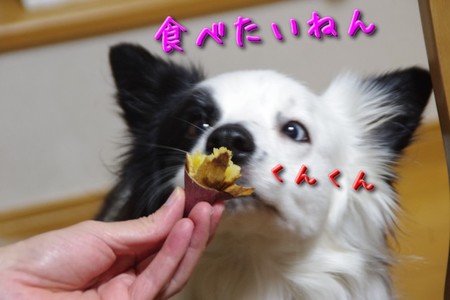 oimo03.jpg