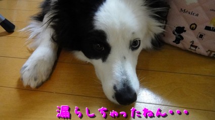 omorasi02.jpg