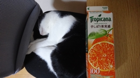 orange04.jpg