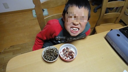oseti02.jpg
