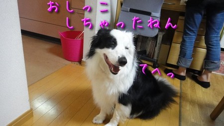 osiiko01.jpg