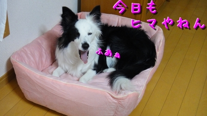 osoji01.jpg