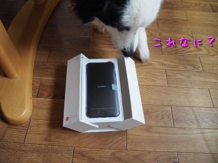 p10_02.jpg