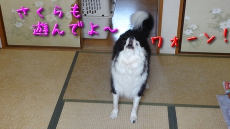 primer04.jpg
