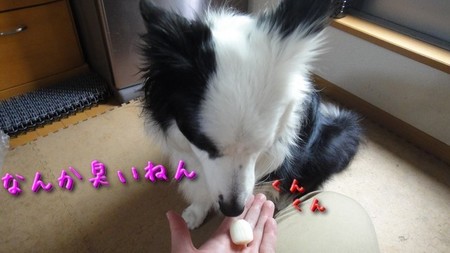 rakyo02.jpg