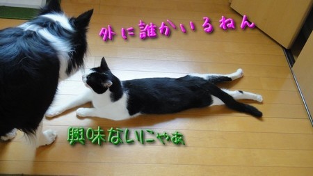 rakyo06.jpg
