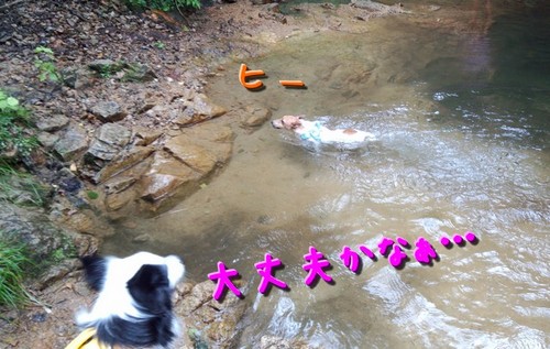 river01.jpg