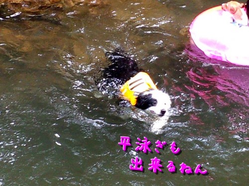 river03.jpg