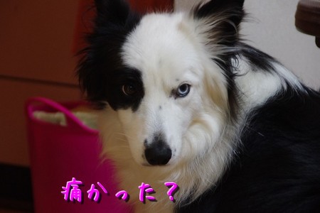 rousou03.jpg