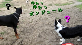run2.jpg