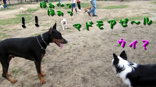run3.jpg