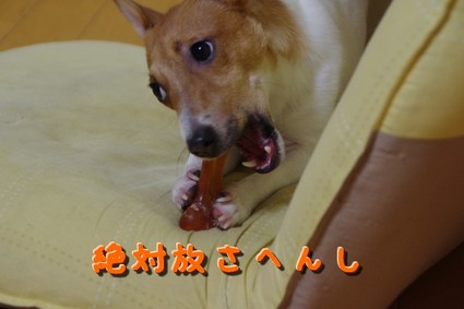 ryuketu02.jpg