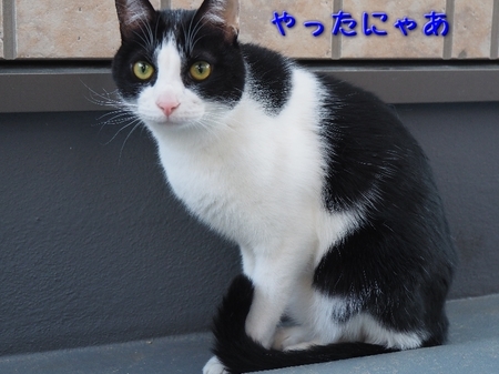 saku03.jpg