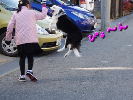 sakujump02.jpg
