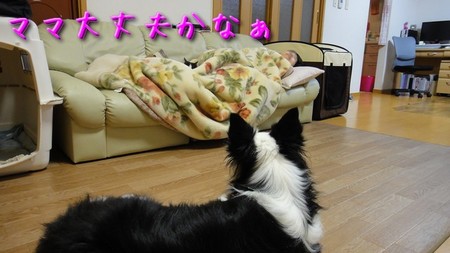 sakune04.jpg