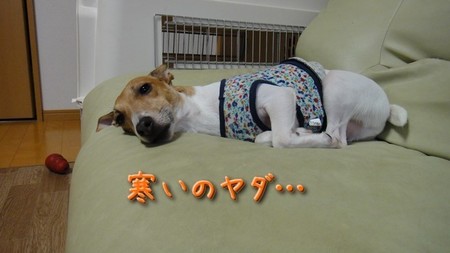 sanpo01.jpg