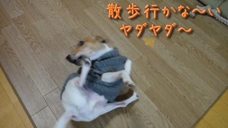 sanpo02.jpg