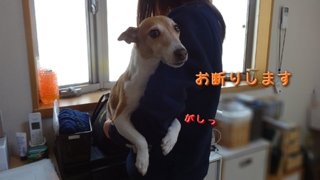 sanpo03.jpg