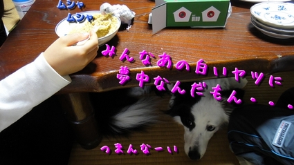 sekisei04.jpg