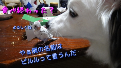 sekisei05.jpg