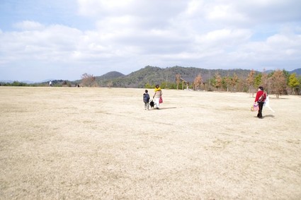 sibafu01.jpg