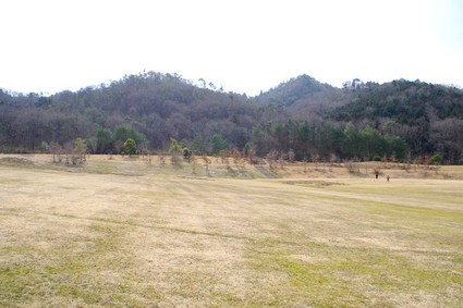 sibafu02.jpg