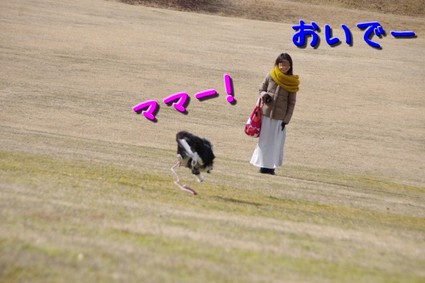 sibafu05.jpg