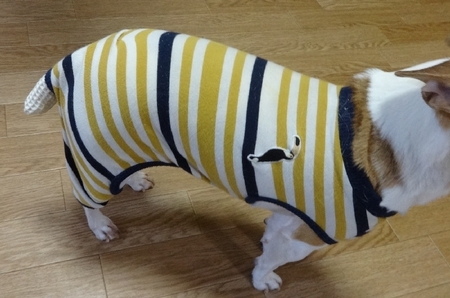 sippo01.jpg