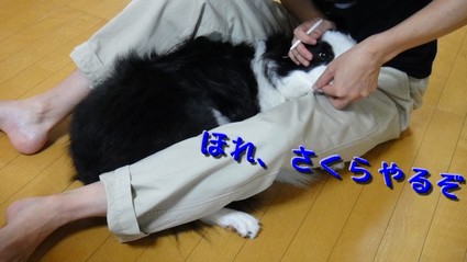 siseki02.jpg