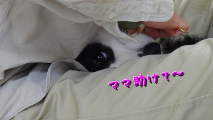 siseki04.jpg