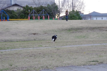 spring05.jpg
