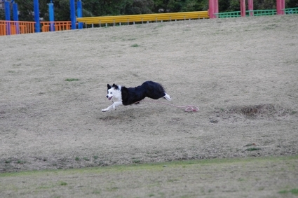 spring06.jpg