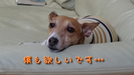 suika04.jpg