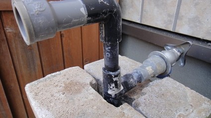 suisen07.jpg