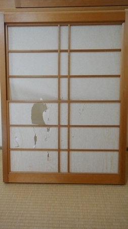 syoji01.jpg
