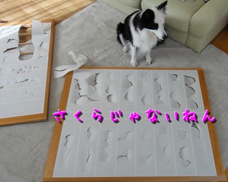 syoji01.jpg