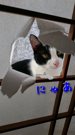 syoji03.jpg