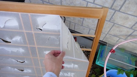 syoji03.jpg