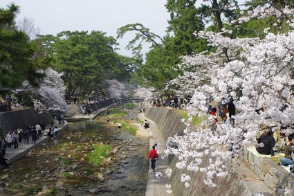 syukugawa03.jpg