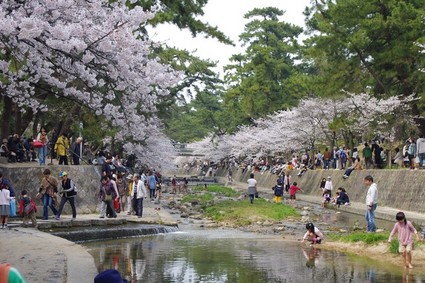 syukugawa05.jpg