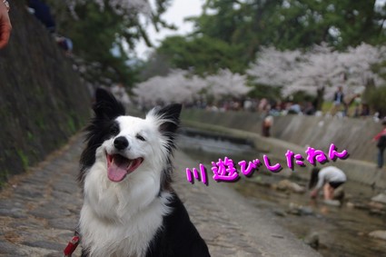 syukugawa06.jpg
