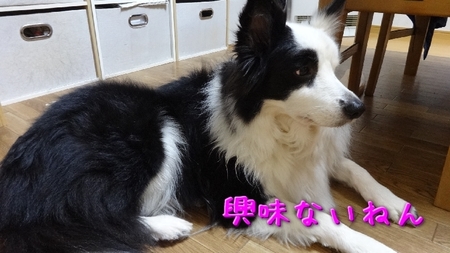 teiki01.jpg