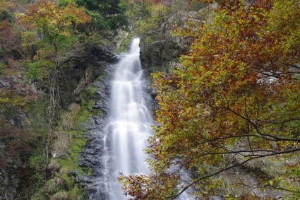 tendaki04.jpg