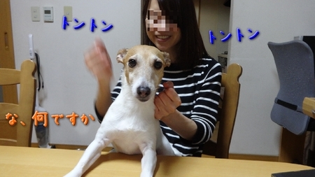 ton01.jpg