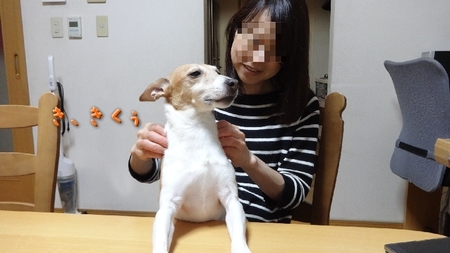 ton02.jpg