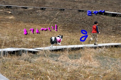 tonomine7.jpg