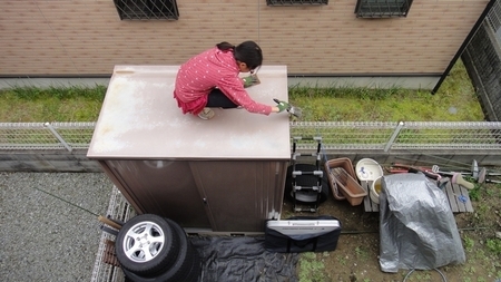 totan03.jpg