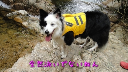 tottori02.jpg