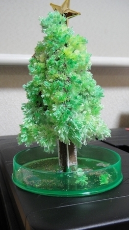 tree.jpg