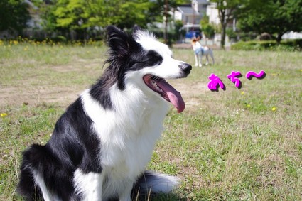 tuyu01.jpg